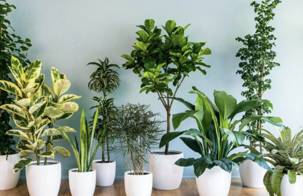 diem qua nhanh nhung mon qua tan gia 2025 5